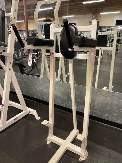 FLEX FITNESS FITNESS TOWER