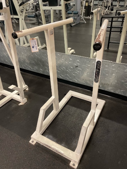 FLEX FITNESS STAND