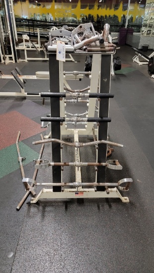BODY MASTERS RACK WITH BARS, ROPES AND TRIANGLES