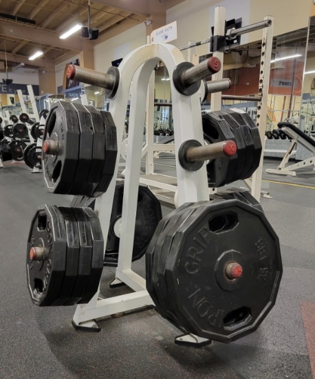 PLATE WEIGHT RACK WITH WEIGHTS