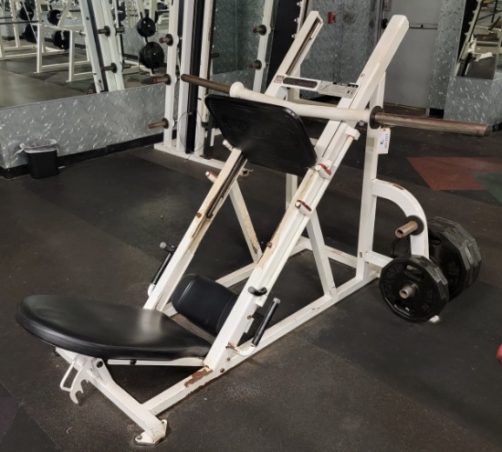 FLEX FITNESS LEG PRESS