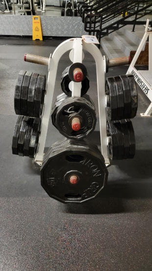 PLATE WEIGHT RACK WITH WEIGHTS