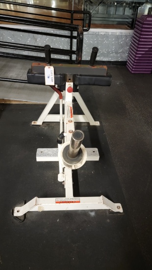 SEATED CALF RAISE