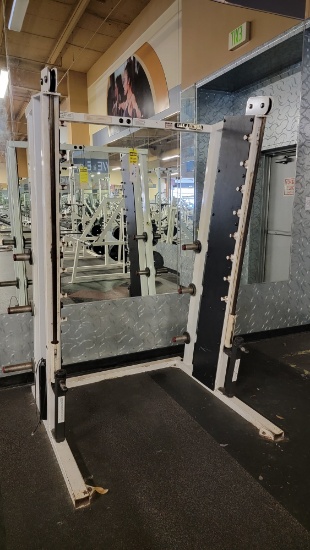 FLEX FITNESS SQUAT TOWER