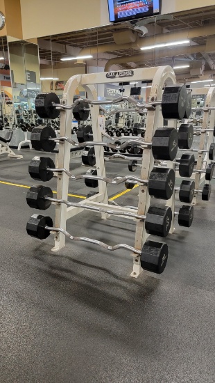 FLEX FITNESS RACK WITH 10 BARBELLS