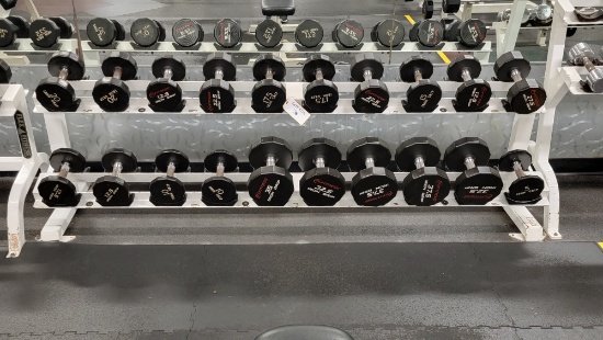 FLEX FITNESS DOUBLE RACK WITH 20 DUMBBELLS