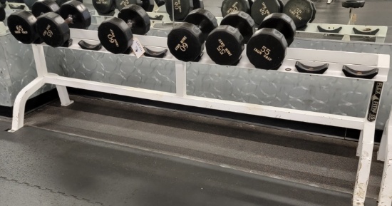 FLEX FITNESS RACK WITH 6 DUMBBELLS  55LBS TO 65LBS EACH