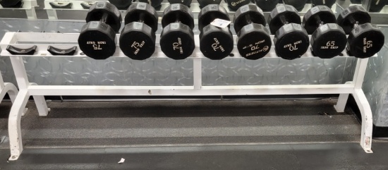 FLEX FITNESS RACK WITH 8 DUMBBELLS 65LBS TO 75LBS EACH