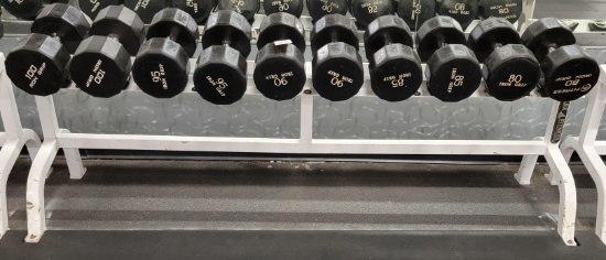 FLEX FITNESS RACK WITH 10 DUMBBELLS 80LBS TO 100LBS EACH