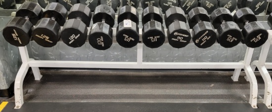 FLEX FITNESS RACK WITH 10 DUMBBELLS 105LBS TO 125LBS EACH