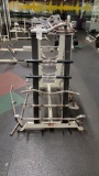 BODY MASTERS RACK WITH BARS, ROPES AND TRIANGLES