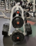 PLATE WEIGHT RACK WITH WEIGHTS