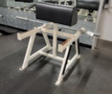 BODY MASTERS ARM CURL STATION WITH BAR