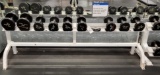 FLEX FITNESS RACK WITH 9 DUMBBELLS 30LB TO 40LB EACH