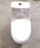 NEW DUAL FLUSH TOILET