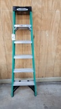 6' Werner Ladder
