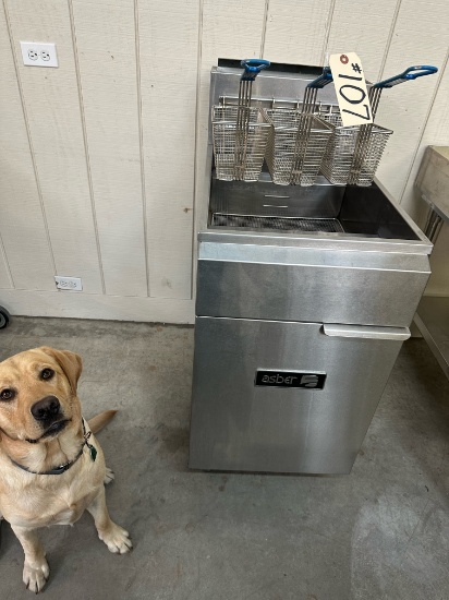 ASBER TRIPLE FRYER