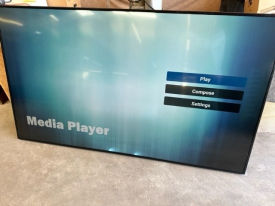 60" PLANAR PROFESSIONAL DISPLAY MONITOR