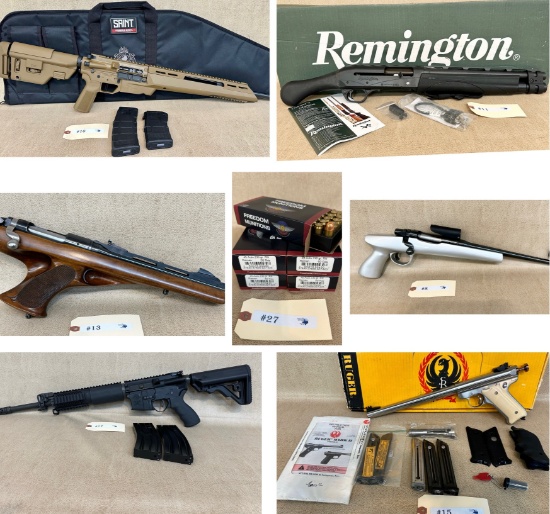 FIREARMS, AMMO & ACCESSORIES