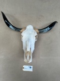 LONGHORN SKULL DECOR