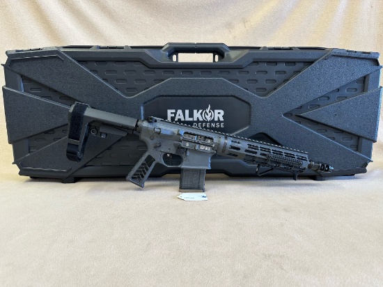 CUSTOM BUILD - FALKOR DEFENSE MODEL FD-15P