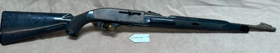 REMINGTON 22 LONG RIFLE