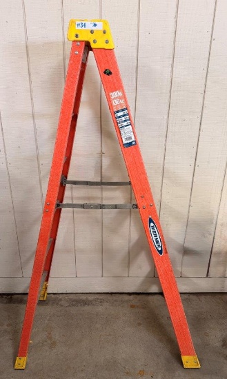 WERNER 6' LADDER