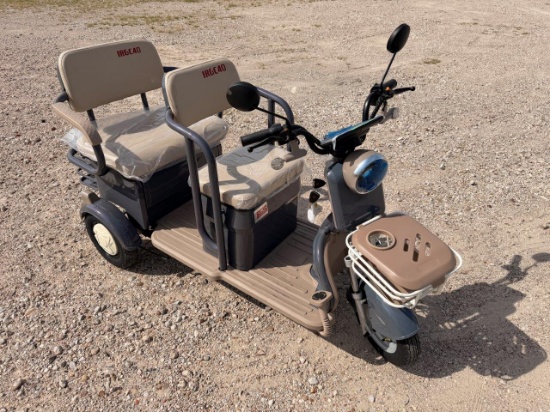 New 2026 Mgc 40 Electric Tricycle Mini Golf Cart