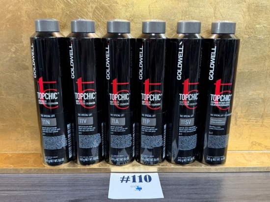 (6) GOLDWELL TOPCHIC COLOR