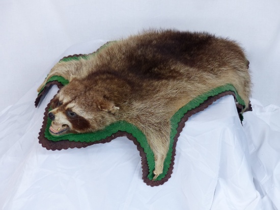 Vintage Full Body Taxidermy Racoon Pelt | Art, Antiques & Collectibles ...