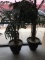 Silk Potted Plants Two included
