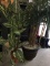 Silk Potted Plants Set of two