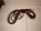 Extension cord