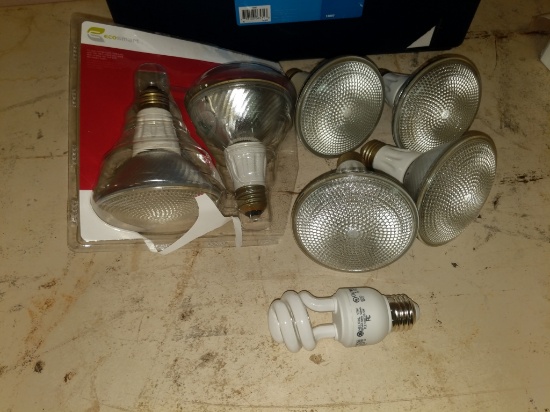 Light bulbs and tote