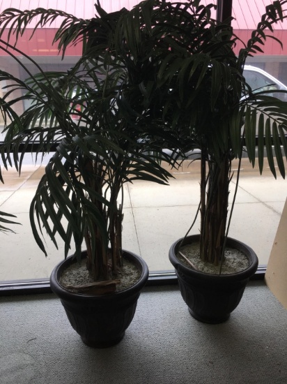 Silk Potted Plants Two included