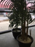 Silk Potted Plants Set of two