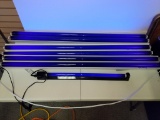 Fluorescent lights with black light bulbs Turned on in photo