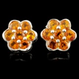 14K Gold 2.80ctw Garnet Earrings