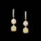 18k White Gold 4.47ctw Fancy Yellow Diamond Earrin