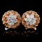 14K Rose Gold 0.75ctw Fancy Color Diamond Earrings