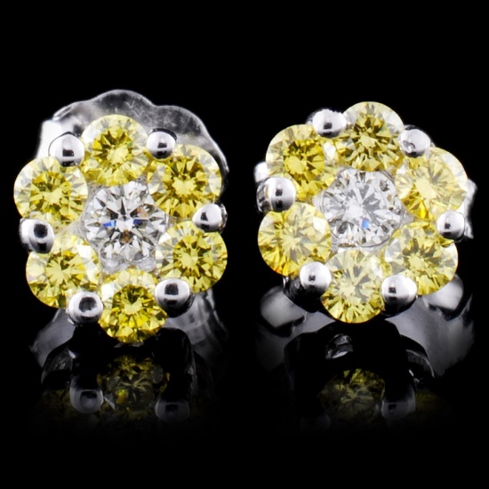 18K White Gold 0.50ctw Fancy Color Diamond Earring