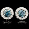14K Gold 0.76ctw Fancy Color Diamond Earrings
