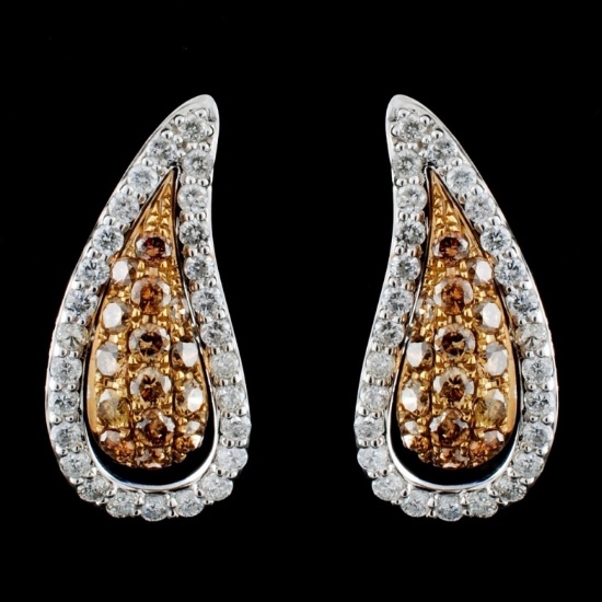 14K White Gold 1.09ctw Fancy Color Diamond Earring