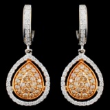 14K Gold 0.76ctw Fancy Color Diamond Earrings