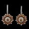 14K White Gold 1.10ctw Fancy Color Diamond Earring