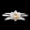 14K Gold 0.71ctw Diamond Ring