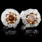 14K White Gold 0.91ctw Fancy Color Diamond Earring