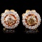 14K Gold 0.63ctw Fancy Diamond Earrings