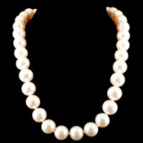 14K Gold 14-15MM Tahitian South Sea Pearl Necklace