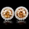 14K Gold 1.29ctw Fancy Diamond Earrings